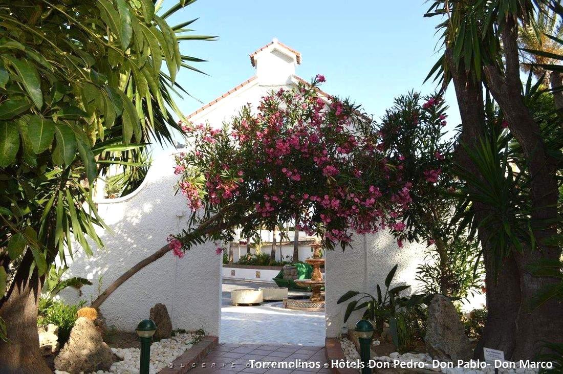 696- Torremolinos- Don Pablo- Don Pedro- Don Marco.JPG